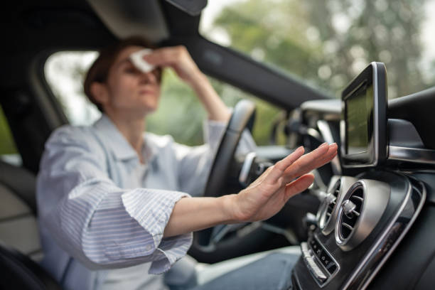 Best Central Air Repair  in Millis Clicquot, MA